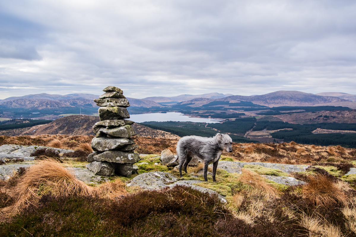Featured image for “Benniguinea and Black Hill of Dee via Clatteringshaws Loch”