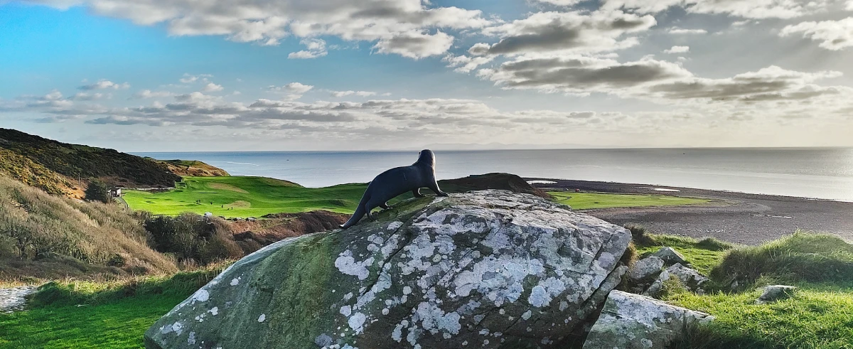 Featured image for “Maxwell’s Otter and Monreith Beach Circular”