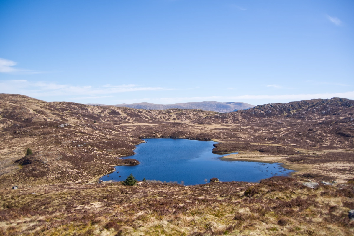Featured image for “Cornish Hill and Loch Cornish Circular”
